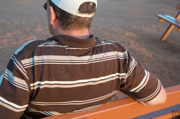 AustraliaAdelaide 10  129